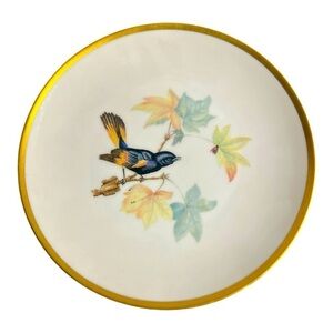 Audubon Bird by HUTSCHENREUTHER